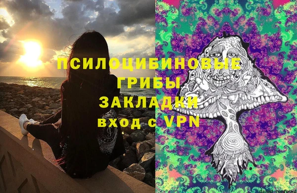 синтетический гашиш Костерёво
