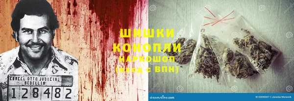 прущая мука Корсаков
