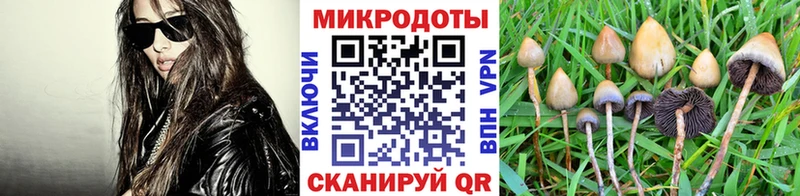 Галлюциногенные грибы Magic Shrooms  Купить где  Юрюзань 